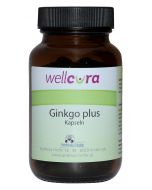 WELLCURA GINKGO PLUS KAPSELN