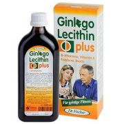 Ginkgo Lecithin plus